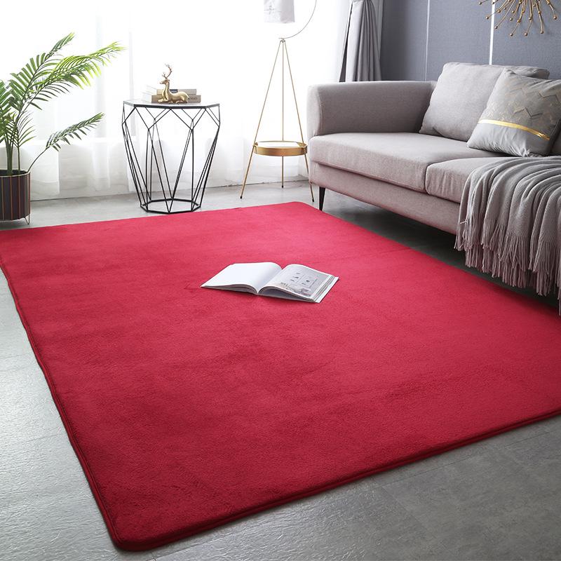 Modern Simple Style Thickened Non-Slip Coral Fleece Carpet for Living Room & Bedroom