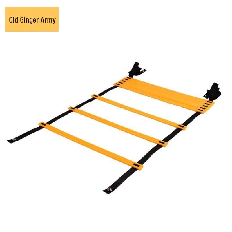 Agility Training Ladder