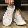 Men's shoes spring new trend low-top casual shoes versatile shoes men's youth sports board shoes men