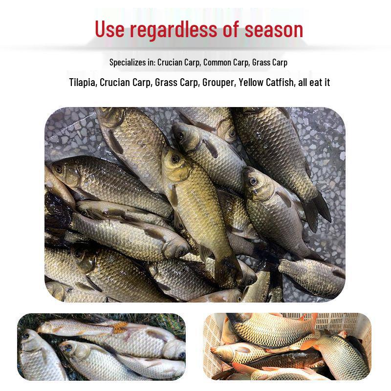 Ganzjahres-Mückenlarven-Frost-Grundfutter: Fertig zu verwendender Köder für Karpfen und Karauschen zum Naturköderangeln