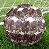 1pc Lion Love Snow Size 5 Soccer Ball Professional Match Training Football Indoor &Outdoor Sports Ball Lightweight Durable c6540