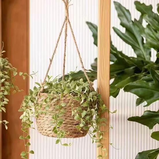 Cachepô Corda de Algodão Pendurado Cesto de Flores Robusto Tecido à Mão Plantador Charme Rústico Suporte de Plantas Vaso para Cultivo de Orquídeas
