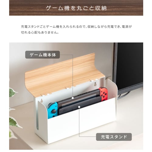 Miyatake Seisakujyo Storage Case Game Console Case TEER Brown