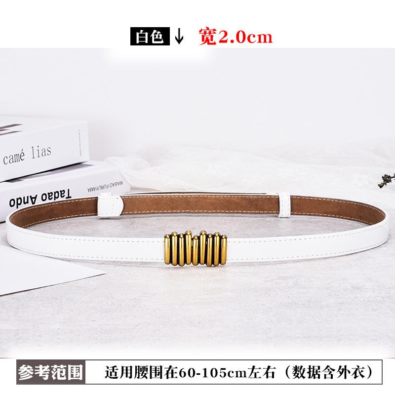 Simple Women'S Thin Belt Leather Decorative Suit Belt With Skirt Shirt Waist Chain