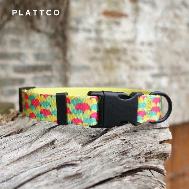 PLATTCO Colorful Apple Print Nylon Pet Collar - Comfortable & Durable Large (2.5cm x 49-55cm)