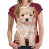 Women's Fashion Casual  Digital Print With Simulation  Cat And Dog Short-sleeved  T-shirt Top
