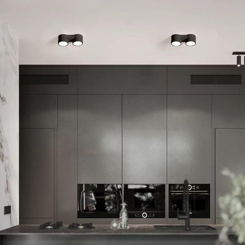 Adjustable LED Double-Head Smart Ceiling Spotlight for Living Room and Aisle