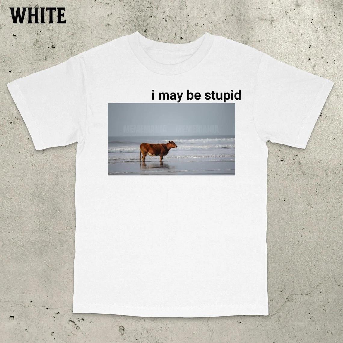 I might be that funny T-shirt with the silly cow pattern standing on the beach. M