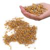 1000Pcs Ceramic Capacitor InLine Monolithic 4.7UF Pin Pitch 5.08MM DC50V Deviation 10%