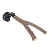 Bird Branch Perch Stand Training Interactive Prevent Slip Wooden   Perch with Suction Cups for Small Medium Bird
