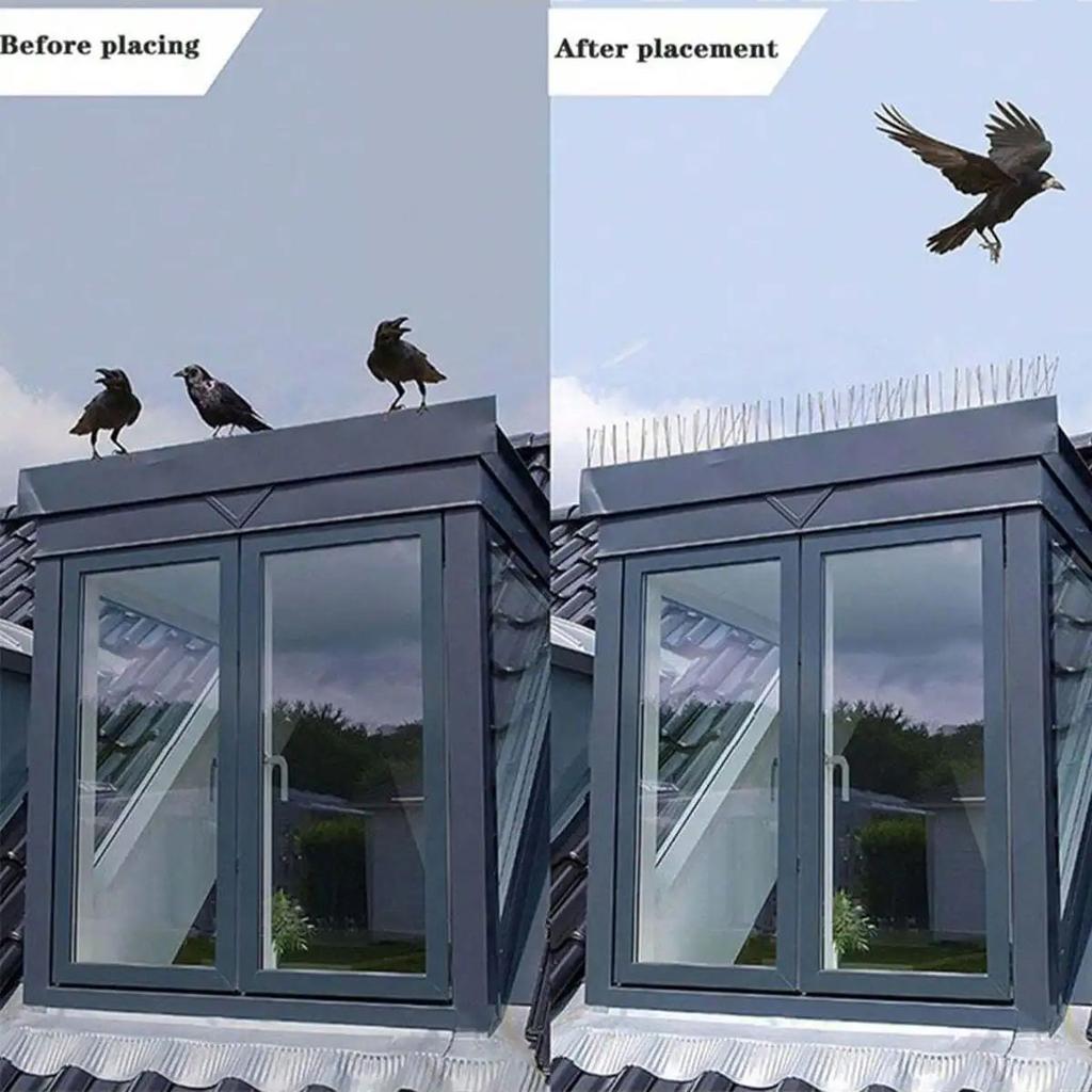 Acrylic Bottom Orchard Eaves for Bird Repellent and Anti Bird Thorns, Preventing Pets from Climbing Onto Balconies
