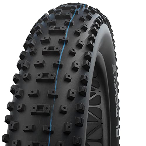 Schwalbe (SCHWALBE) [Genuine] Almighty 26x4.80 Fat Bike