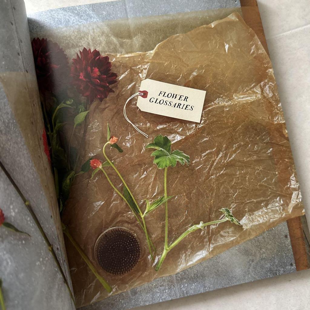 [USED] Beautiful Flower Textbook