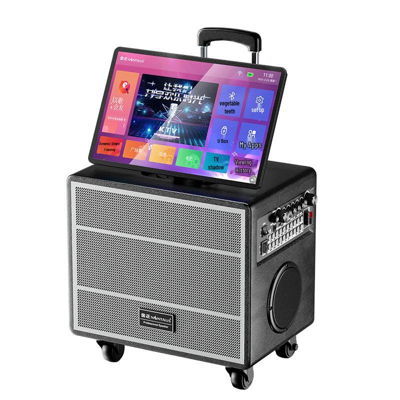 Jinzheng Portable All-in-One KTV Karaoke System
