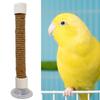 Suction Cup Bird Window And Shower Perch Toy For Parrot Macaw Cockatoo African For Grey Conure Parakeet Parrot bracket