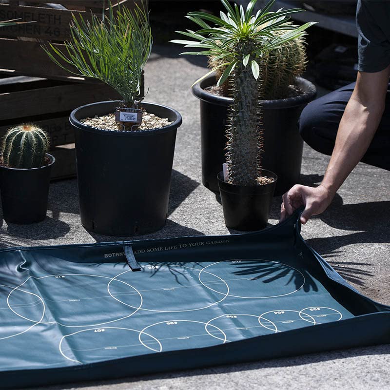 Dulton Repot Sheet S Gray BOTANY 730 x 730mm G21-0389SGY