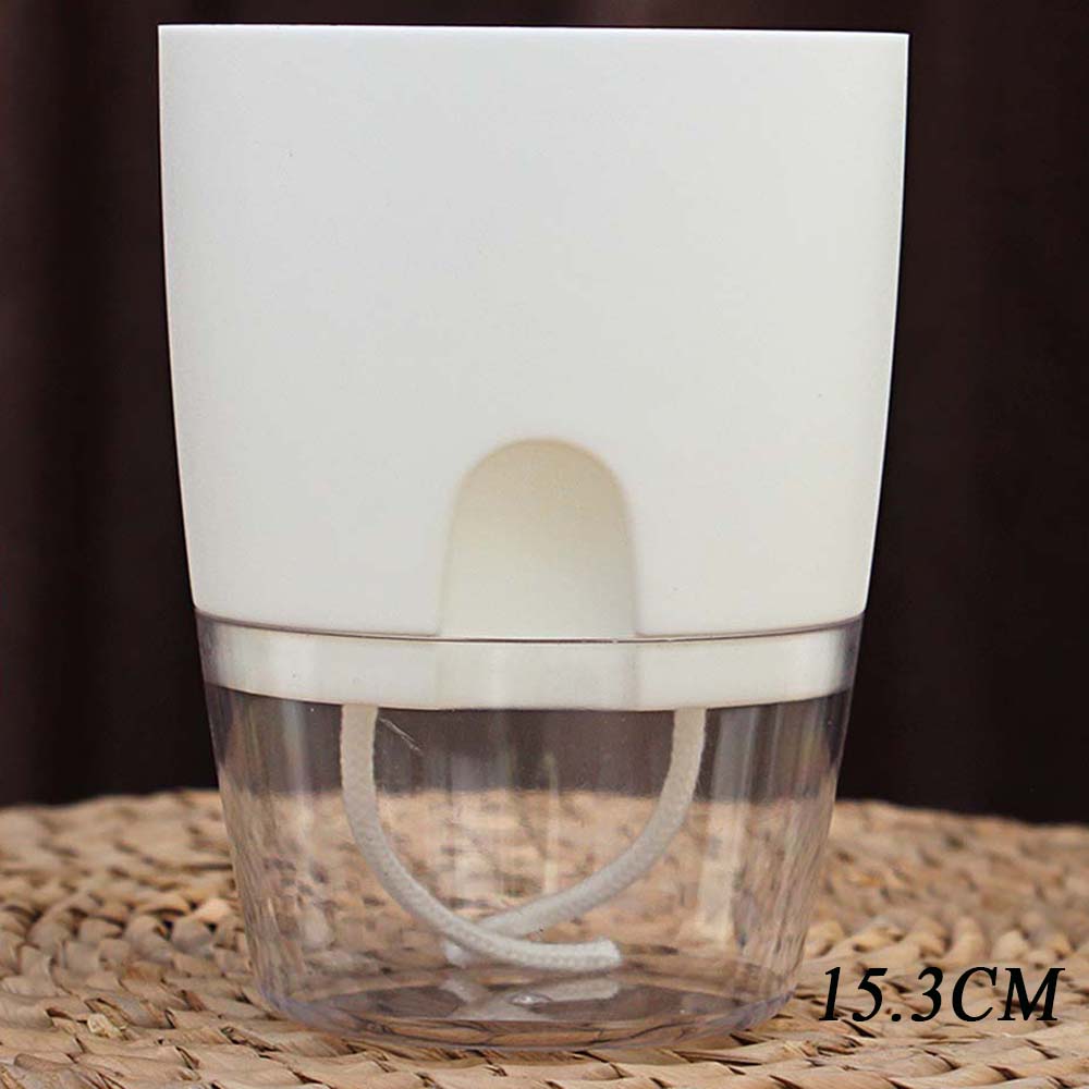 Garden Supplies Green Dill Office Hydroponic Decoration Plant Pot Planters Home Decor Flower Pots