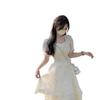 Elegant High-Quality Mesh Short-Sleeve Slimming Midi Dress for Women