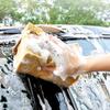 Car Wash Coral Sponge Block Absorpce vody Mytí auta Detailing Kartáč Pad Voštinové/Coral Nástroje na čištění auta Silná houba