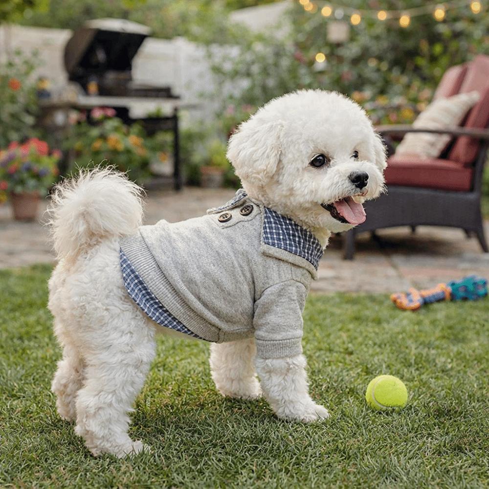 Soft Dog Pullover False Two-piece Two Legs Dog Clothes Fashion Pet Dog Hoodie Small Dogs Cats