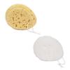 Donegal Oval Washing Sponge (6009)