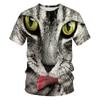 Summer Trendy Animal Cat Round Neck Short Sleeved 3D Digital Printed Men's Short Sleeved T-shirt