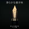 Wordsworth   Black Fountain Pen   Silver  Luxury Case  24k Gold Finish  18k Gold