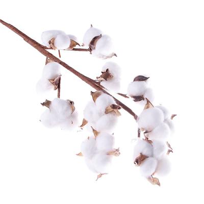 10 Cabeças Decoração de Casamento Decoração de Casa Ramo Floral Plantas Artificiais Flor de Algodão Seco Haste de Algodão