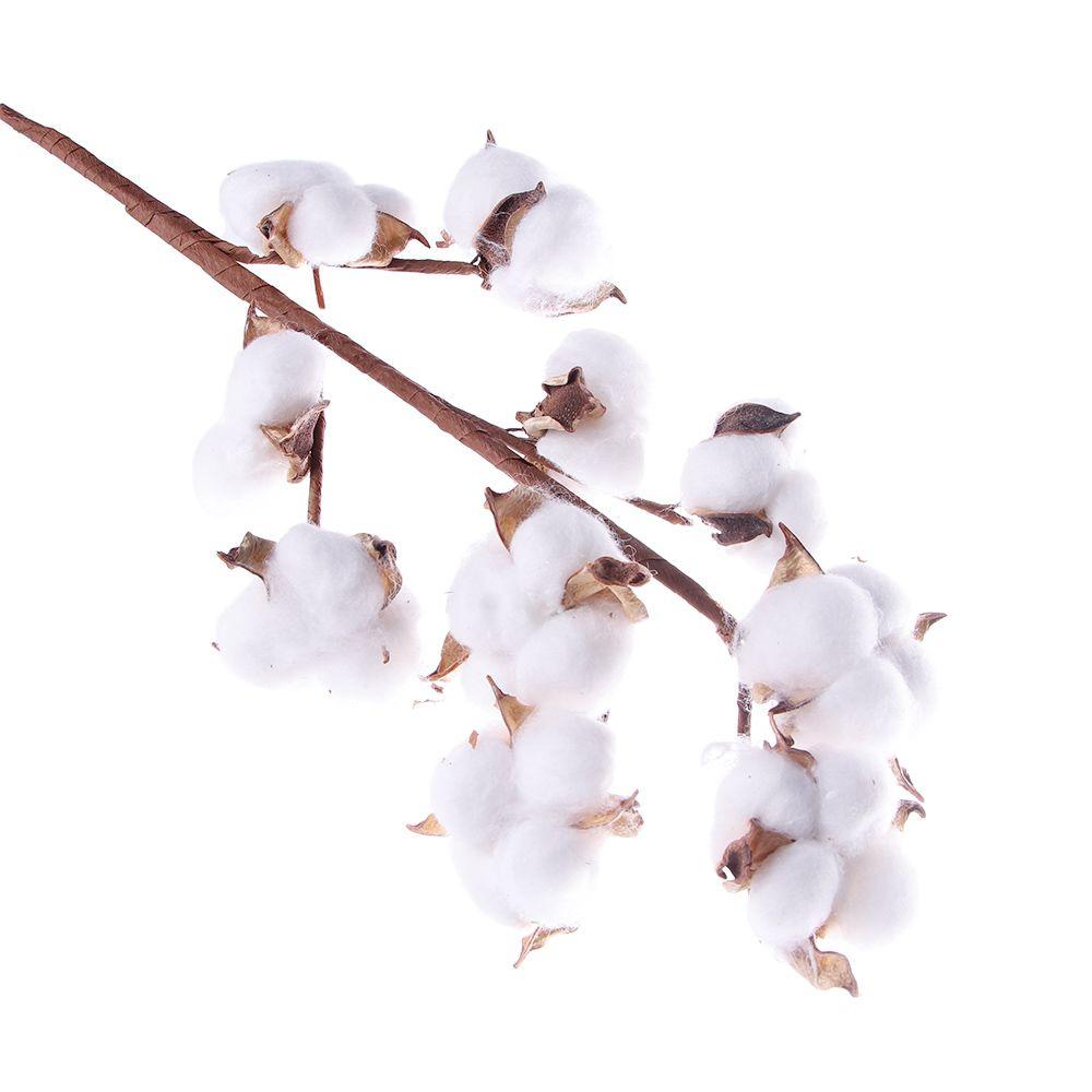 10 Heads Wedding Decoration Home Decor Floral Branch Artificial Plants Dried Cotton Flower Cotton Stem