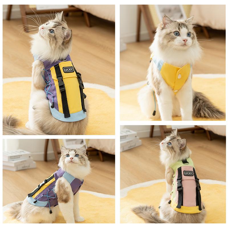 Cat Autumn and Winter Jacket Out Backpack Strap Vest Medium and Small Dog Tide Cool Wind Dog Pet Clothes