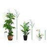 Plant Support Stakes Removable Garden Tree Branch Shape Green Plant Pole for Potted Plants and Flowers