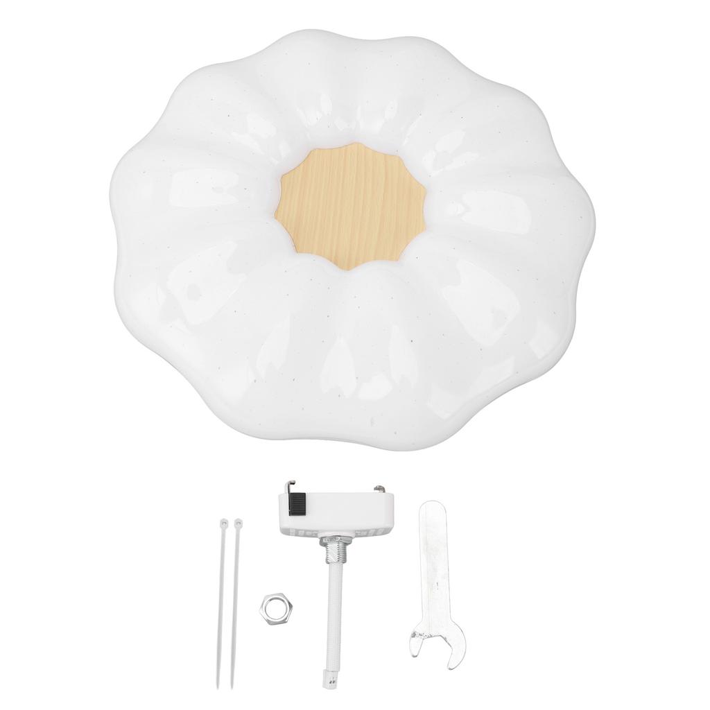 Flush Mount Ceiling Light Modern Ceiling Lamp 3 Color Temperature Dimmable Remote Control for