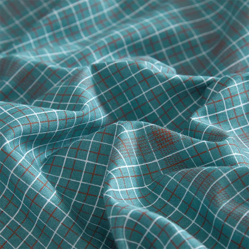 Tianqin Premium Soft Warm Quilt
