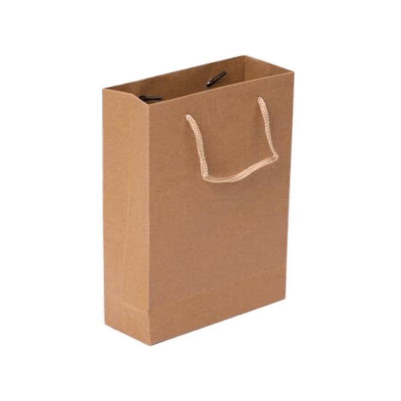 Small Natural Kraft Paper Gift Bags