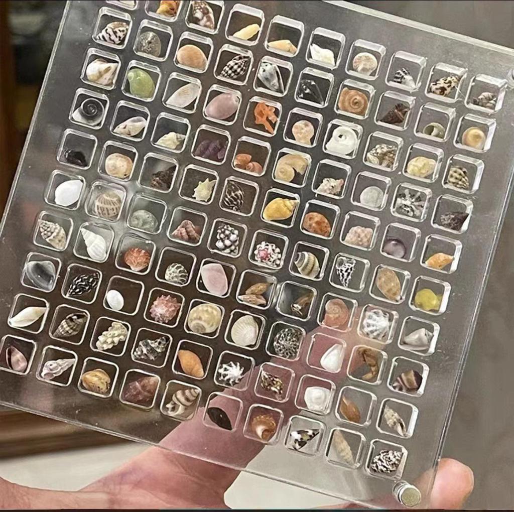 Quadratische Muschel-Vitrine aus Acryl für Miniatur-Steinproben