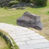 Roccia Paesaggistica Artificiale Finto Arenaria Leggera Texture Naturale Pietra di Simulazione per Ufficio