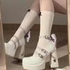 Spring Punk Thick Heel Mary Jane Lolita Shoes Woman Patent Leather Cosplay Shoes Y2k Chunky Platform High Heels Pumps