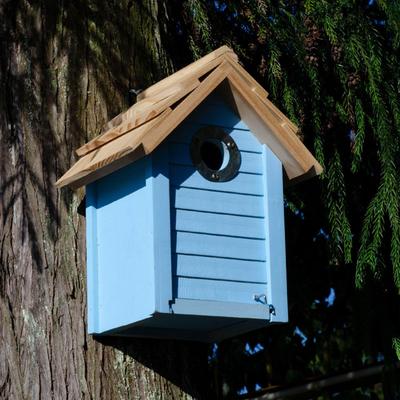 Wooden Bird House Outdoor Birds Box Blue Perch Nest Hanging Birdhouse for