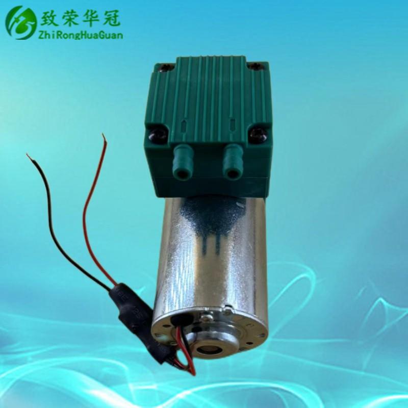 Vacuum pump DC12V Miniature air pump AC110V Small pump DC24V Inflating pump AC220V Beauty instrument negative pressure pump ZR5101PM AC 220V