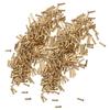 500Pcs Hollow Rivet Brass Decorative Through Hole Excellent Corrosion Resistance Copper   Eye Buckles