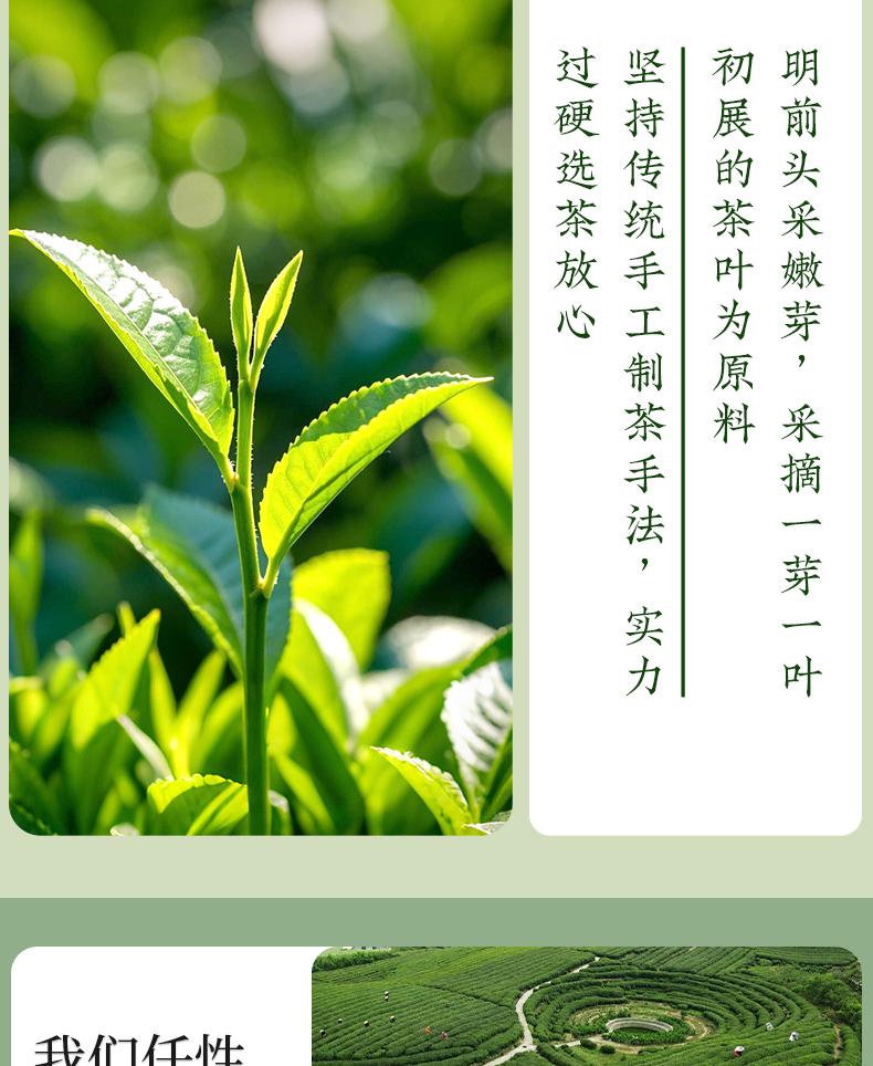 Jieyingming's Top Picking Green Tea, Biluochun Strong Aroma High Mountain Sprout Spring Tea, Festival Gift Box, Perfect Gift