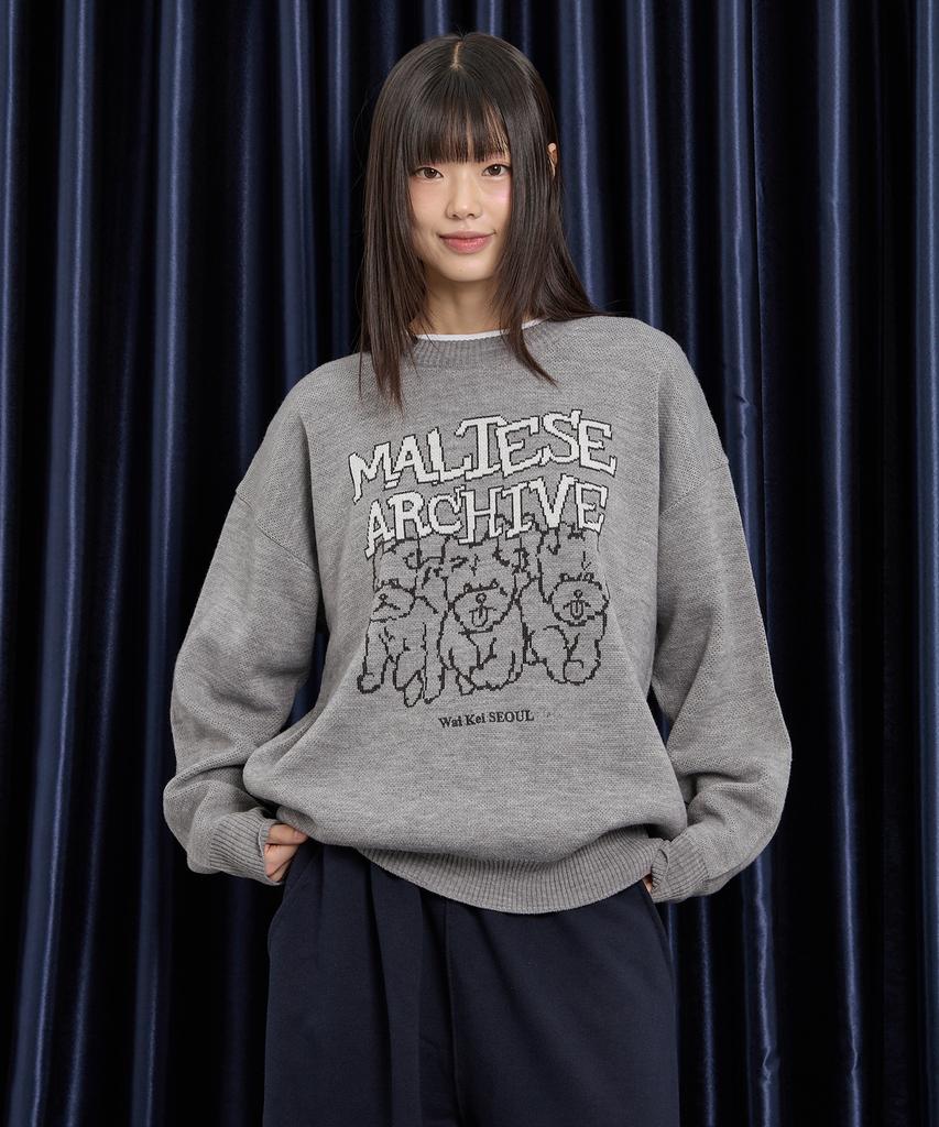 WAIKEI Maltese Archive Line Graphic Knit Ver.2 Gray