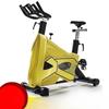 TLXT Bumblebee Indoor Exercise Bike CN Plug (adapter Included)