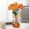 Simple Transparent Glass Vase with Vertical Patterns Office Desktop Surface Green Plants Hydroponic Flower Arrangement