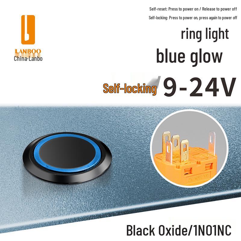 Lanbo 22A Stainless Steel Illuminated Self-Locking Momentary Push Button Elevator Switch