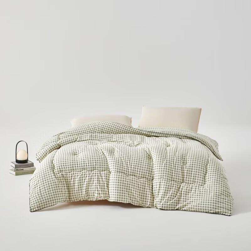 Muji A+ Antibacterial Gold Fleece Winter Double Quilt