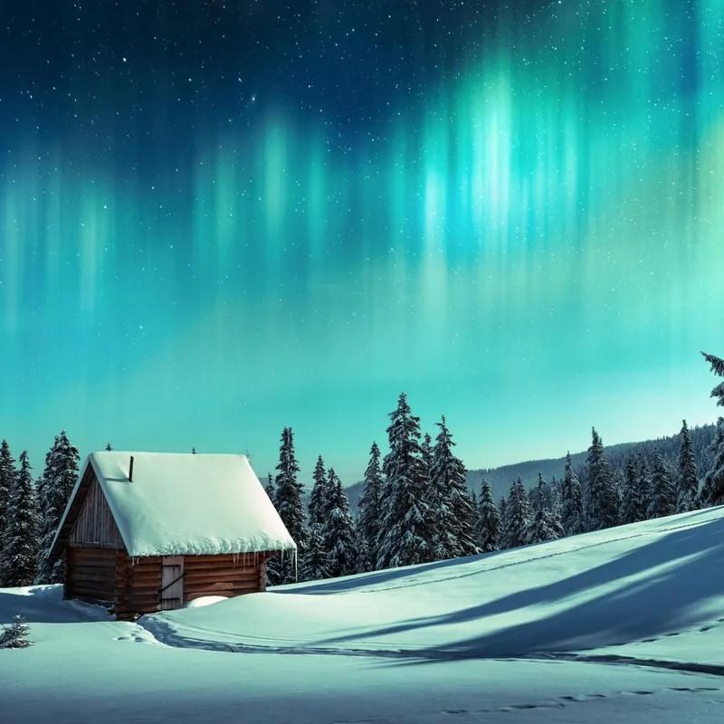 Финская рок-метал-группа The Him MMA Kick Boxing UFC Muay Thai Футболка с ретро-винтажным — фото 9