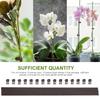 Flexible plastic coated metal steel garden plant support qualitative wire