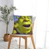 Can't Today I'm Swamped Shreks Square Pillow Covers Polyester Bed Car  Cushion Case Cool Home Decoration Pillowcase 45*45