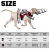 Blind Dog Harness with Anti-Collision Halo - Low Vision Pet Safety Device
